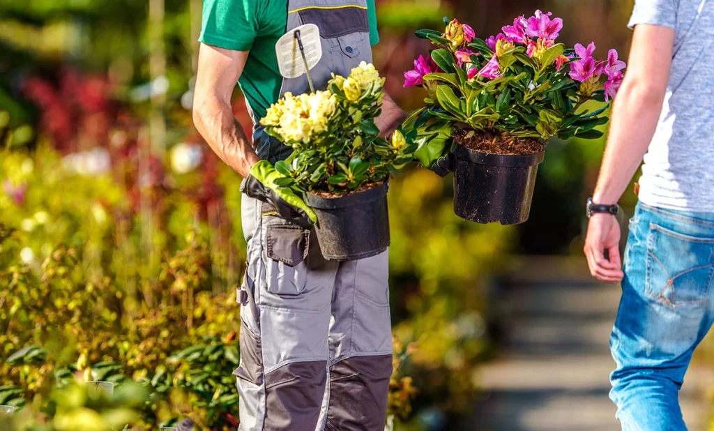 dobbies garden centres.jpg