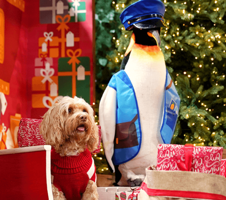 Santa Paws